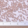 MIYUKI Round Rocailles Beads SEED-JP0008-RR0579-4