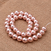 Polished Round Grade A Shell Pearl Bead Strands BSHE-M027-6mm-23-2