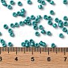 Baking Paint Glass Seed Beads X-SEED-S042-15A-17-4