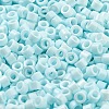 Baking Paint Glass Seed Beads SEED-S042-05A-35-3