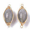 Natural Agate Links Connectors G-N326-18-2