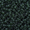MIYUKI Round Rocailles Beads SEED-X0054-RR0156F-3