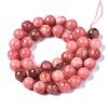 Natural Chalcedony Beads Strands G-S333-10mm-007-2