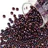 TOHO 8/0 Round Beads SEED-XTR08-0503-1