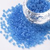 Glass Seed Beads SEED-A008-3mm-M3-1