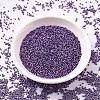 MIYUKI Delica Beads X-SEED-J020-DB0430-2