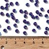 Glass Seed Beads SEED-H002-A-A619-4