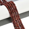 Natural Brecciated Jasper Beads Strands G-K343-C28-01-4