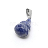 Natural Sodalite Pendants G-WH0006-22J-1