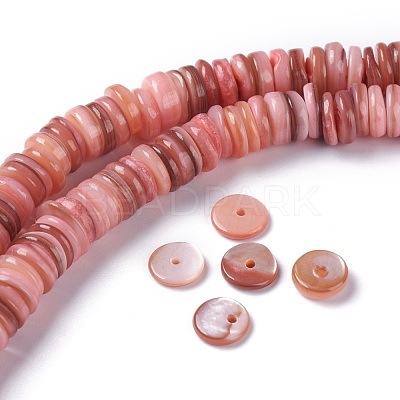 Natural Freshwater Shell Beads Strands BSHE-I016-04E-1