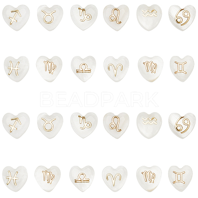 24Pcs 12 Styles Natural White Shell Beads BSHE-SP0001-01-1