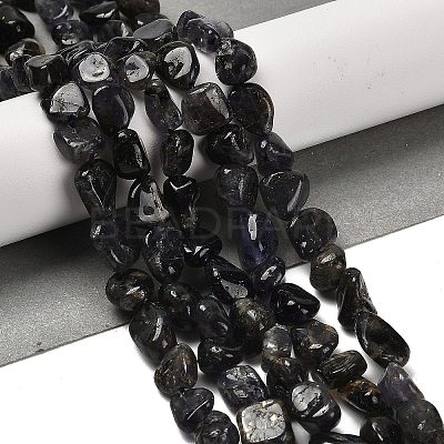 Natural Iolite Beads Strands G-P497-01E-35-1