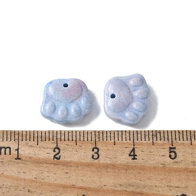 Natural Rainbow Alashan Agate Charms G-G194-01D-1