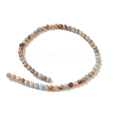Dyed Natural Regalite/Imperial Jasper/Sea Sediment Jasper Beads Strands G-B124-C05-04-1