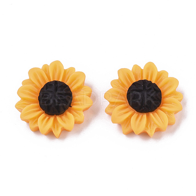 Resin Cabochons X-CRES-T010-57A-1