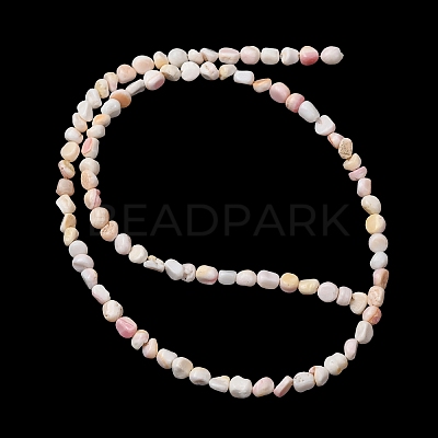 Natural Shell Beads Strands SHEL-K006-76-1