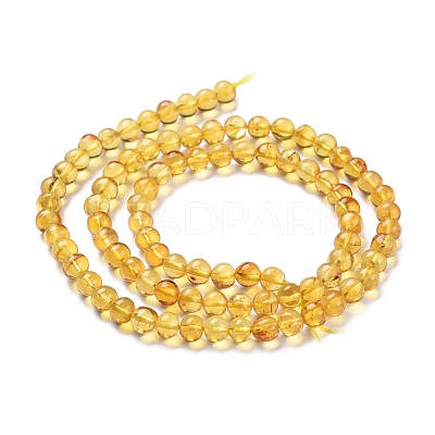 Natural Amber Beads Strands G-K308-C01-5mm-1