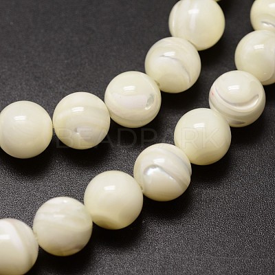 Shell Beads Strands X-SSHEL-E571-39-6mm-1