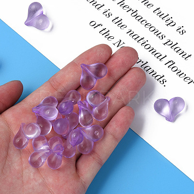 Transparent Acrylic Beads LS-MACR-S373-70-B14-1