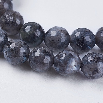 Natural Larvikite Beads Strands LS-G-G542-8mm-27-1