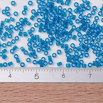 MIYUKI Delica Beads Small X-SEED-J020-DBS0714-1