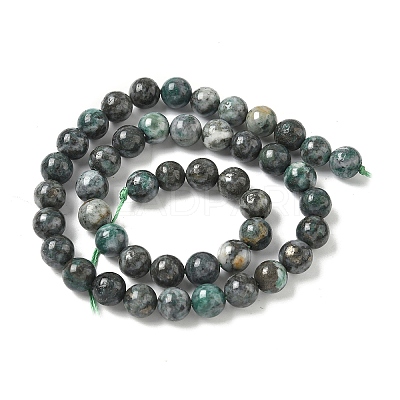 Natural Dioptase Beads Strands G-D302-02-8mm-1