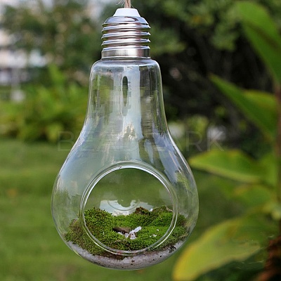Bulb Shape Hanging Glass Planter PW-WG30992-01-1