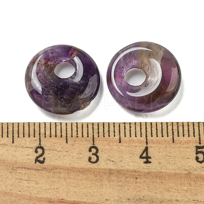 Natural Amethyst Donut/Pi Disc Charms G-G142-02L-1