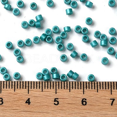 Baking Paint Glass Seed Beads X-SEED-S042-15A-17-1