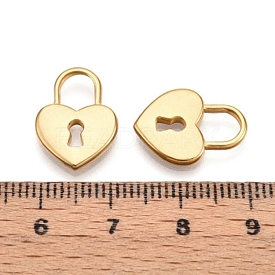 304 Stainless Steel Pendants STAS-N109-113G-1