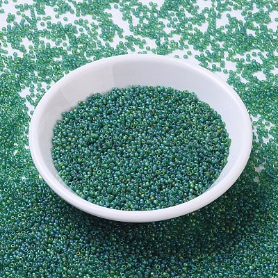 MIYUKI Round Rocailles Beads X-SEED-G007-RR0146FR-1