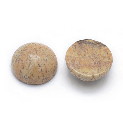 Natural Picture Jasper Cabochons G-P393-R51-8MM-1