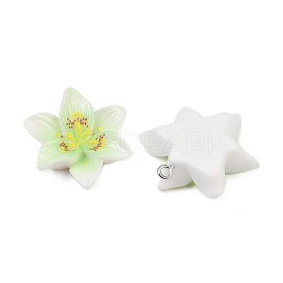 Opaque Resin Pendants CRES-D328-04B-1