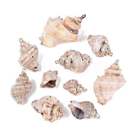 Electroplate Natural Sea Shell Big Pendants SSHEL-Q100-23KCG-1