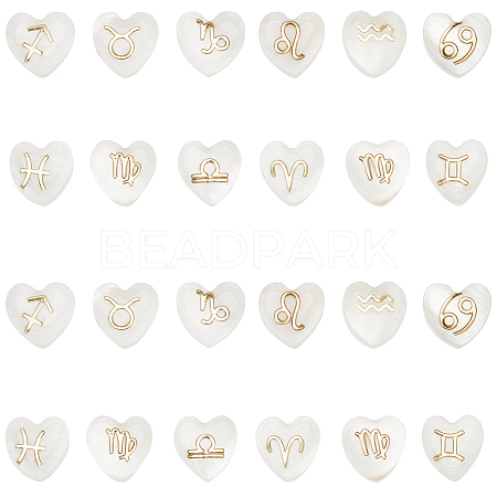24Pcs 12 Styles Natural White Shell Beads BSHE-SP0001-01-1