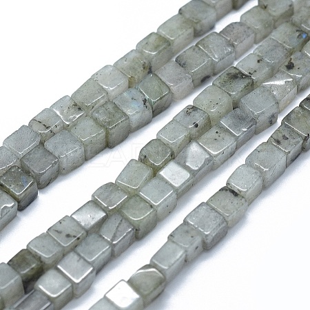 Natural Labradorite Beads Strands G-F631-C08-1
