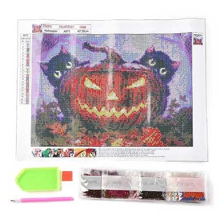 Halloween Theme DIY Diamond Painting Canvas Kits for Kids DIY-I055-03-1