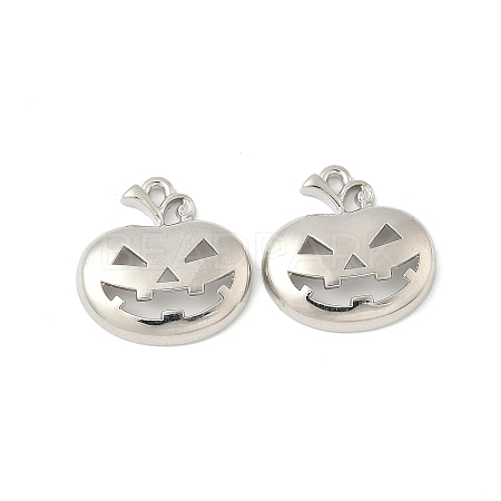 Alloy Pendants FIND-B047-02B-P-1