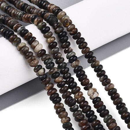 Natural Biotite Beads Strands G-T140-69B-1