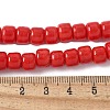 Handmade Lampwork Beads Strands LAMP-I030-02-4