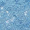Baking Paint Glass Seed Beads X-SEED-S042-15B-28-3