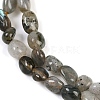 Natural Labradorite Beads Strands G-P497-01B-03-4