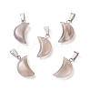Natural Grey Agate Pendants G-Q369-17-1