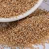 MIYUKI Round Rocailles Beads X-SEED-G009-RR0580-4