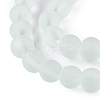 Baking Paint Transparent Glass Bead Strands GLAA-S031-10mm-29-3