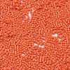 Baking Paint Glass Seed Beads X-SEED-S042-05B-84-3