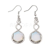 Hexagon Opalite Dangle Earrings EJEW-K298-01P-06-4