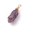 Natural Amethyst Pointed Pendants PALLOY-JF00801-3