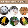 Bird Parrot Hamster Toys AJEW-WH0114-41-5