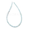 Dyed Natural Freshwater Shell Beads Strands SH-CBA2978-07A-01-3